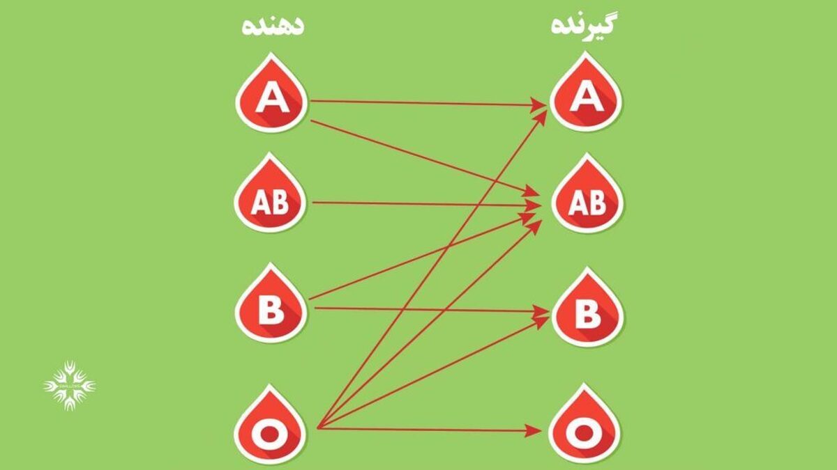 بهترین و بدترین گروه خونی کدام است؟