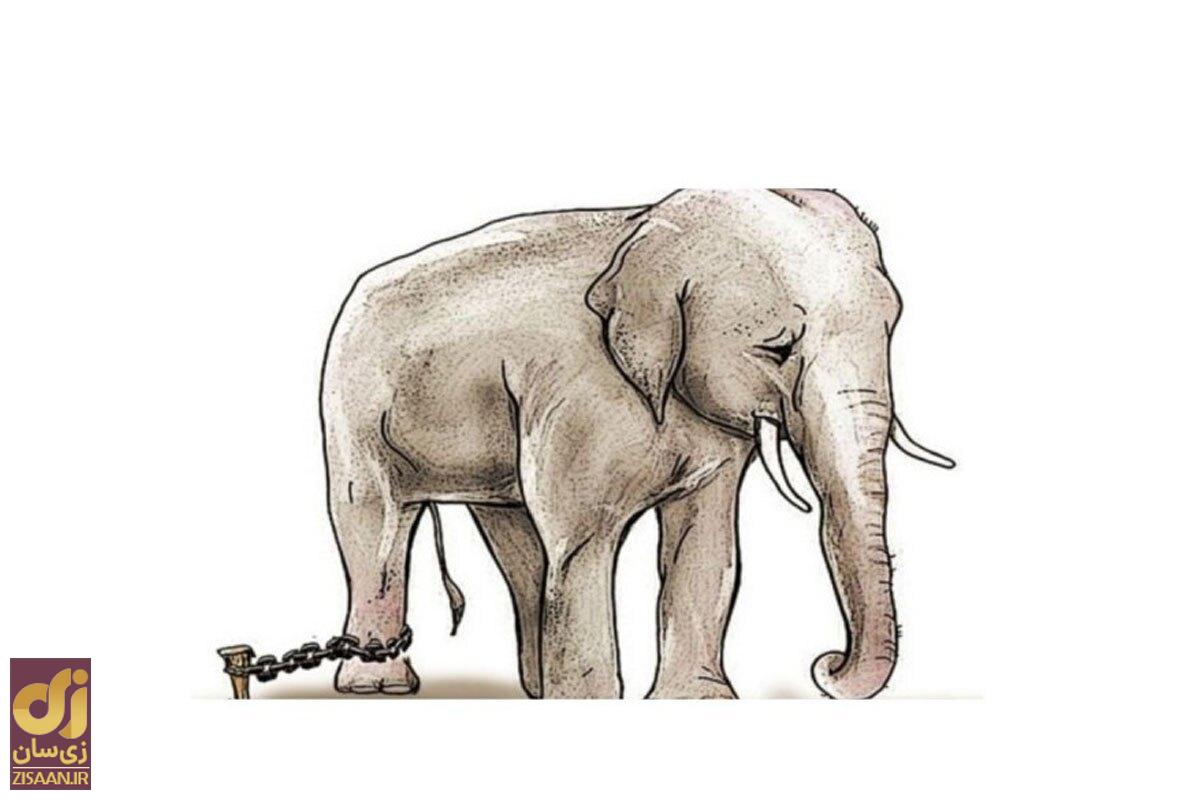 داستان پندآموز طناب فیل: چه می‌شود که بعضی‌ها هیچ‌کاری برای بهتر شدن وضعشان نمی‌کنند؟