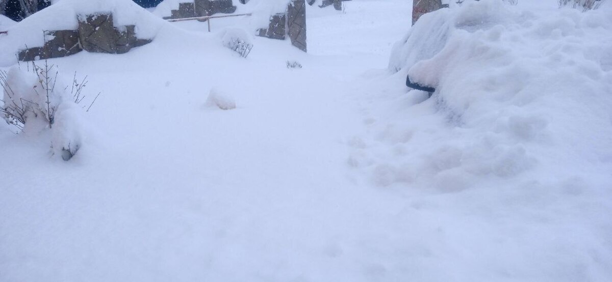 (عکس) دفن شدن خودروها زیر برف در این شهر