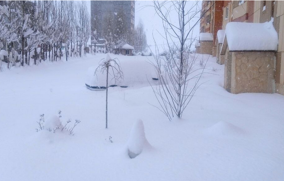 (ویدئو) تصاویری عجیب از بارش برف در اردبیل