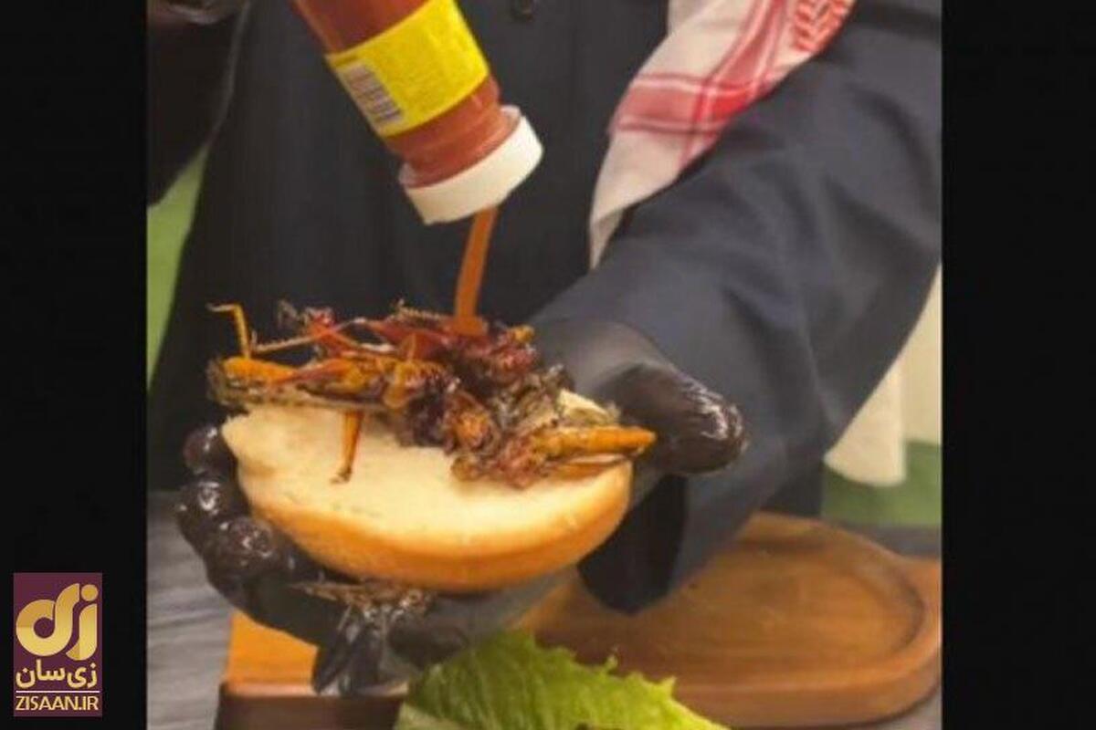 ساندویچ برگر ملخ در عربستان؛ غذای عجیبی که سروصدا به پا کرد + ویدئو