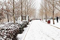 (تصاویر) تصاویری رویایی از برف در شمال تهران