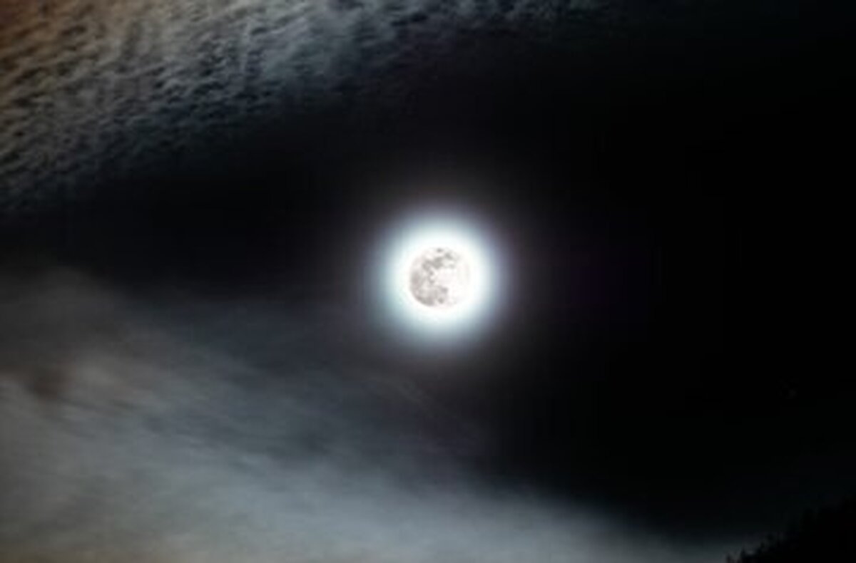(تصاویر) «ماه گرگ» ظاهر شد!