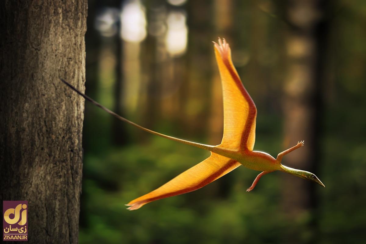 یک پرنده عجیب ۲۰۰ میلیون ساله کشف شد