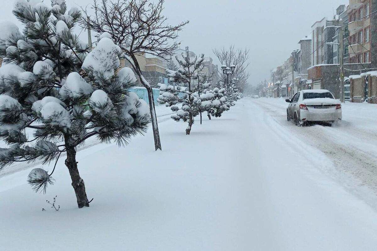 بارش شبانه برف در اردبیل؛ شهر سفید شد + ویدئو