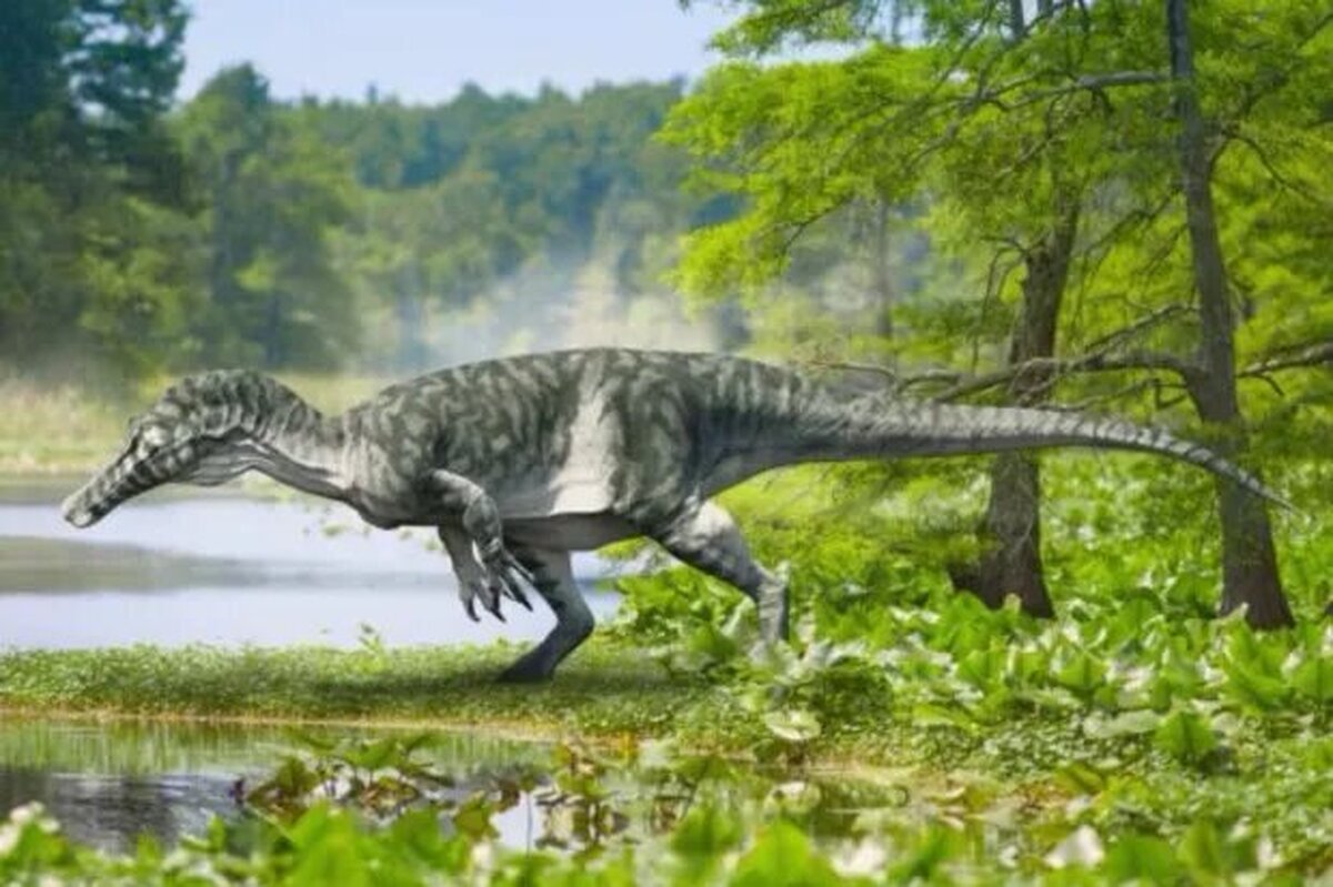 گونه جدیدی از دایناسور کشف شد