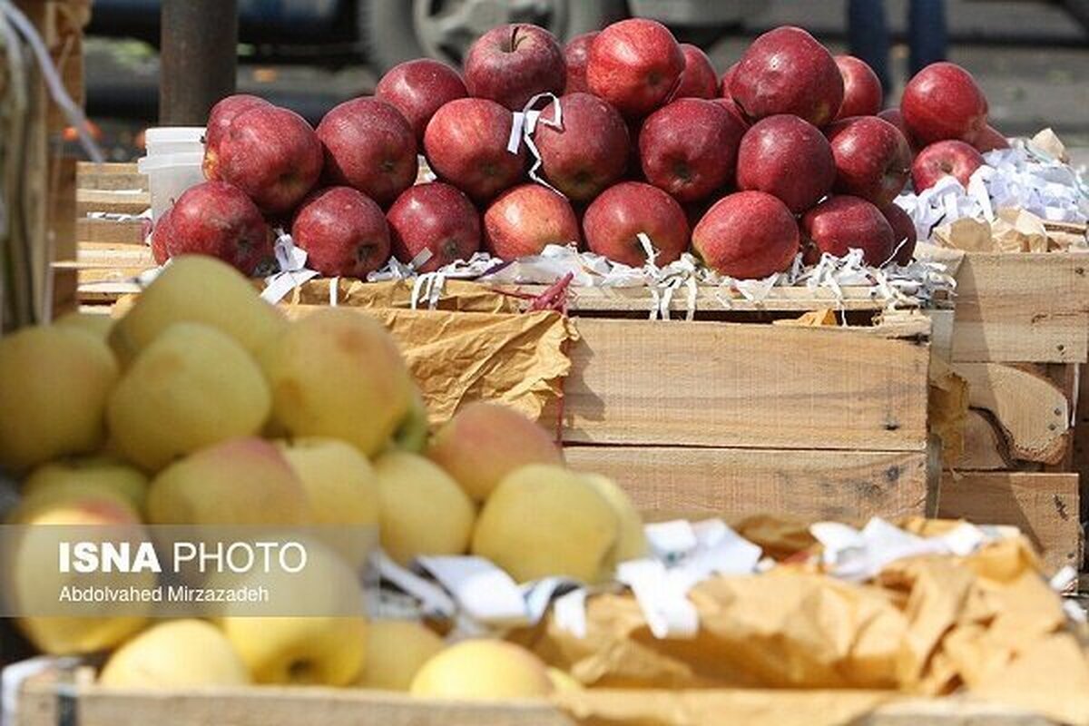 قیمت میوه شب عیدی در استان گیلان