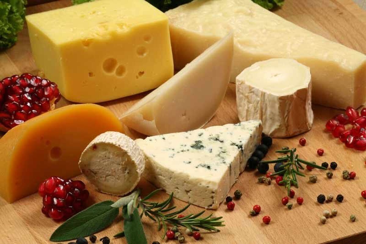 کدام پنیرها برای کاهش وزن مفید است؟