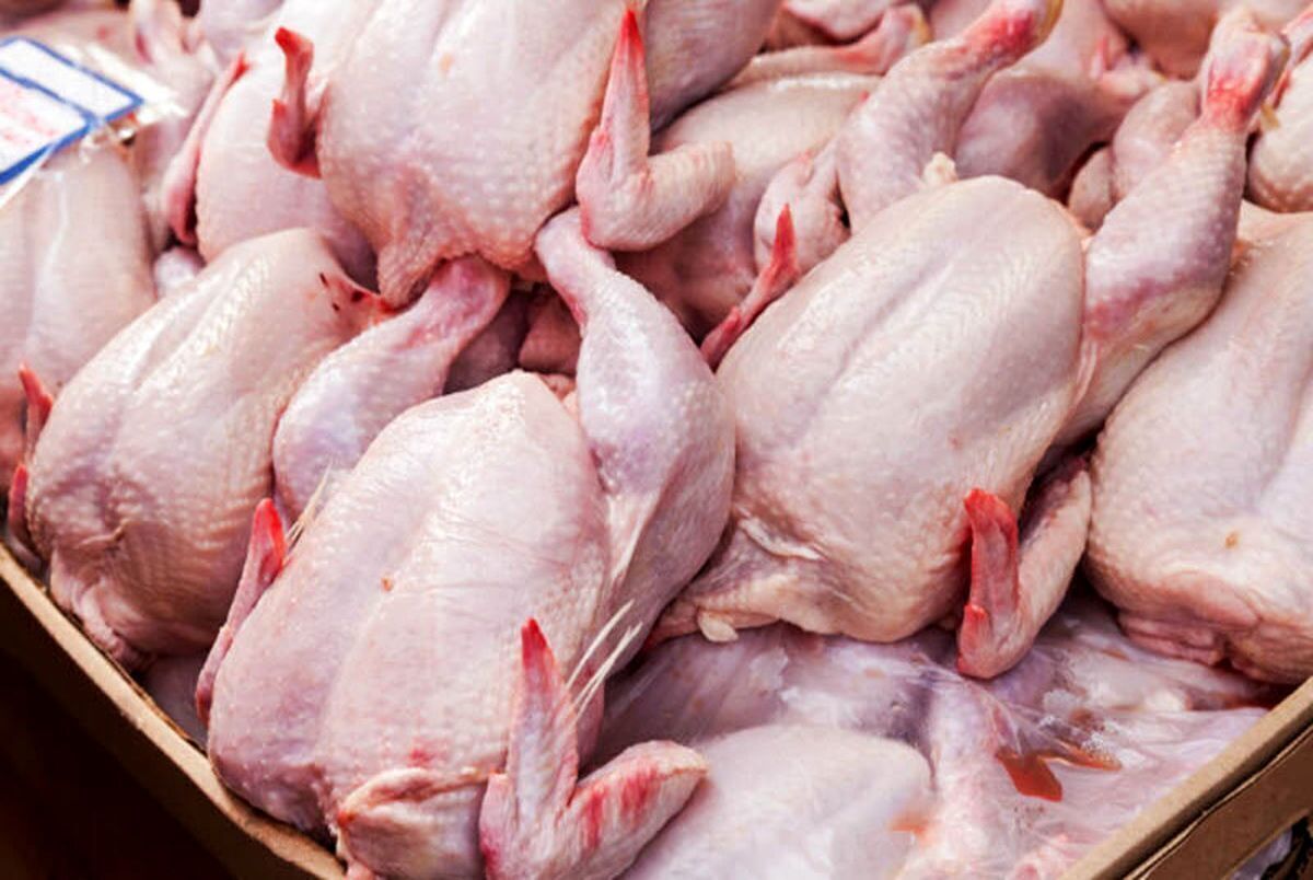 قیمت گوشت مرغ، امروز ۱۸ فروردین ۱۴۰۳
