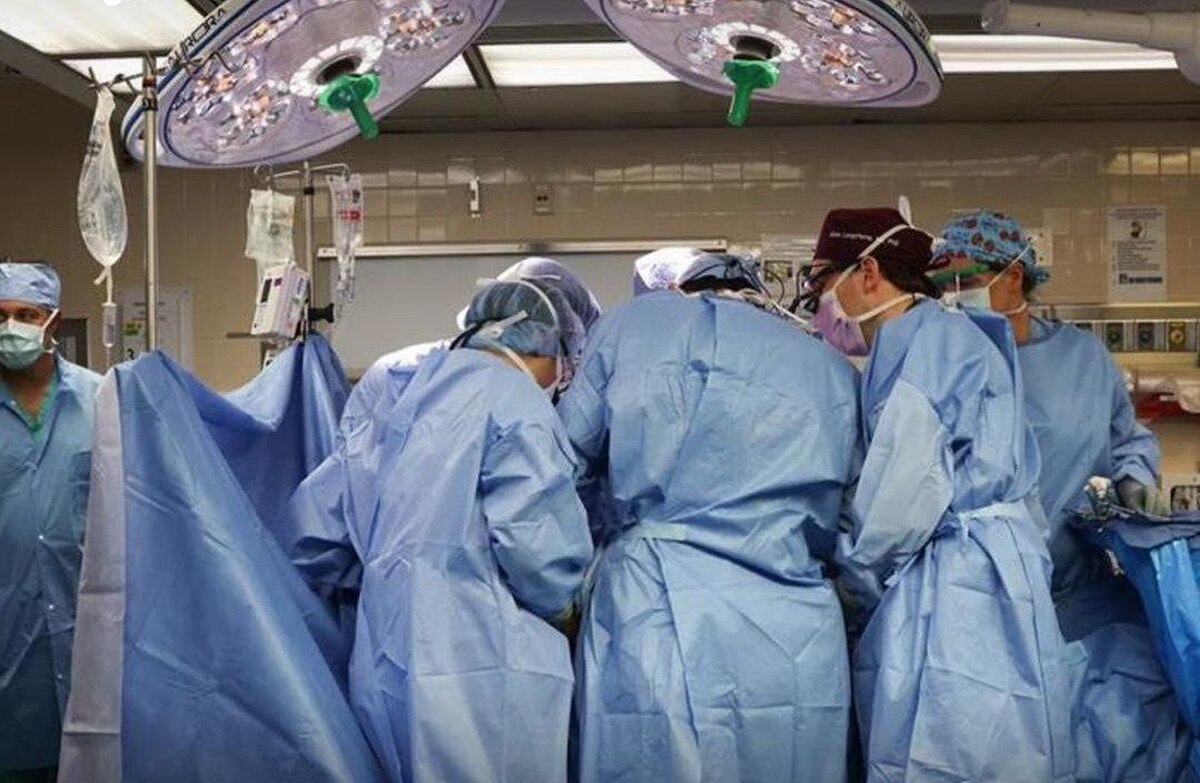 جراحان آمریکایی برای اولین بار کلیه خوک را به انسان پیوند زدند