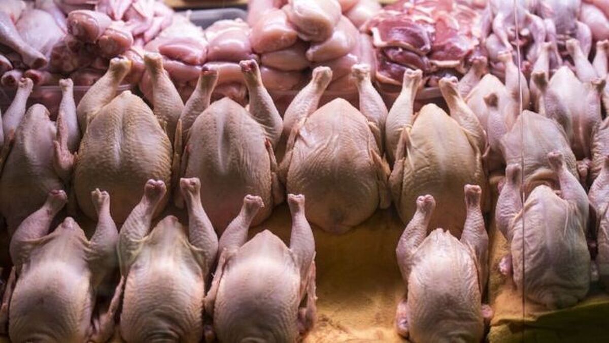 قیمت گوشت مرغ امروز ۲۱ فروردین ۱۴۰۳