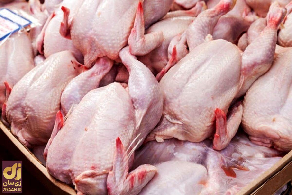 قیمت گوشت مرغ  امروز دوشنبه ۶ فروردین ۱۴۰۳