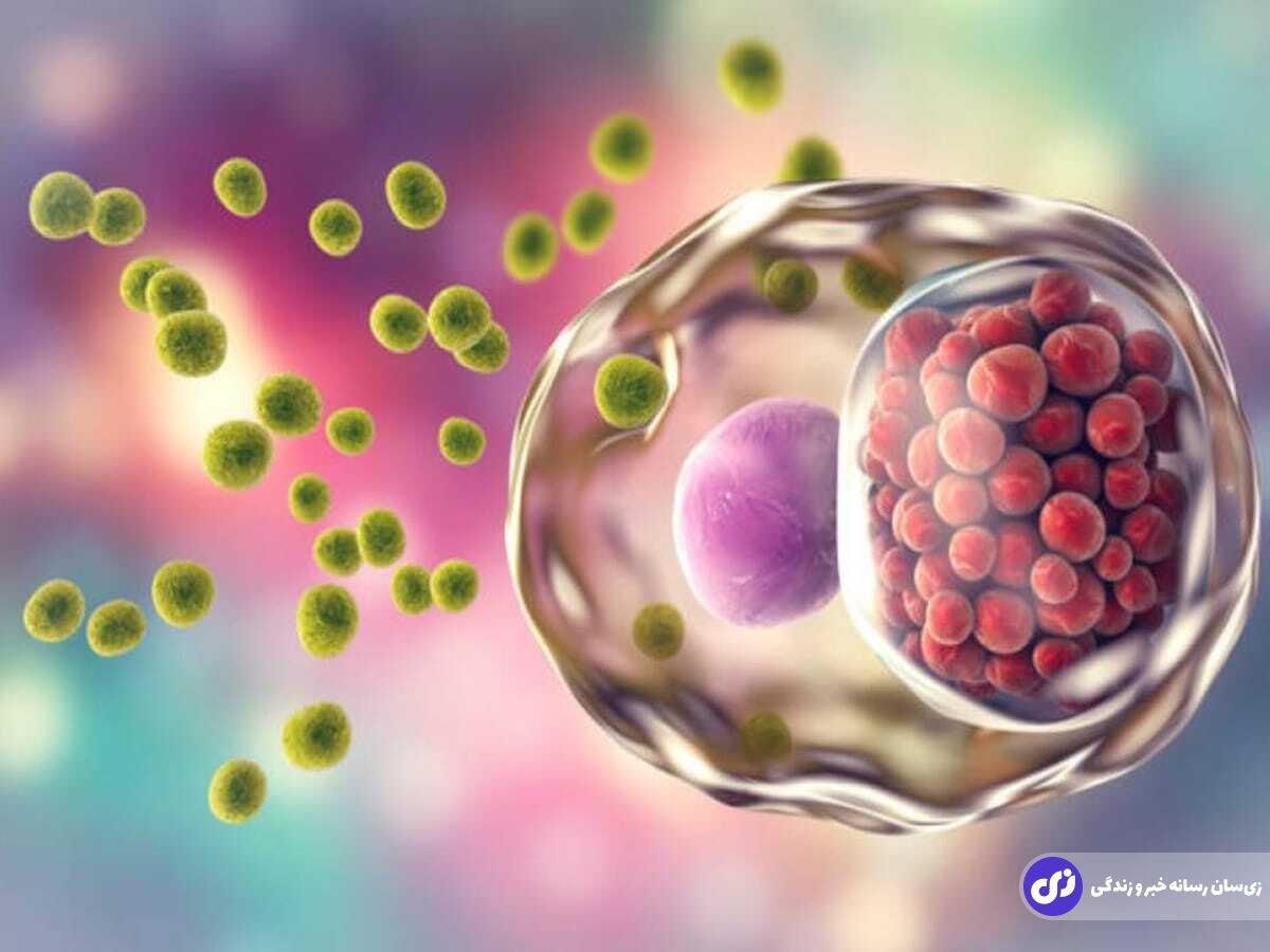 ۱۵ باور رایج ولی اشتباه درباره علل و درمان بیماری‌های آمیزشی یا مقاربتی