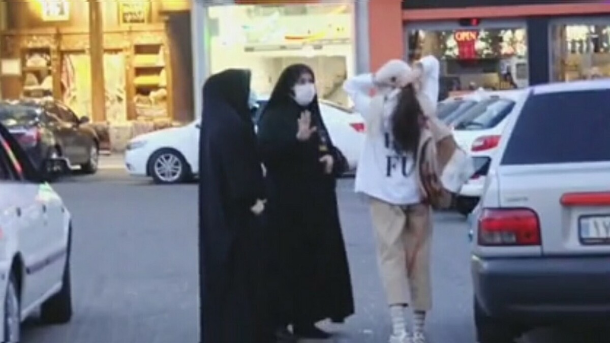 توضیحات پلیس در مورد پوشاندن یک زن با پتو و بازداشت او؛ از پاشیدن نسکافه به سمت ماموران تا تلاش برای فرار + ویدئو