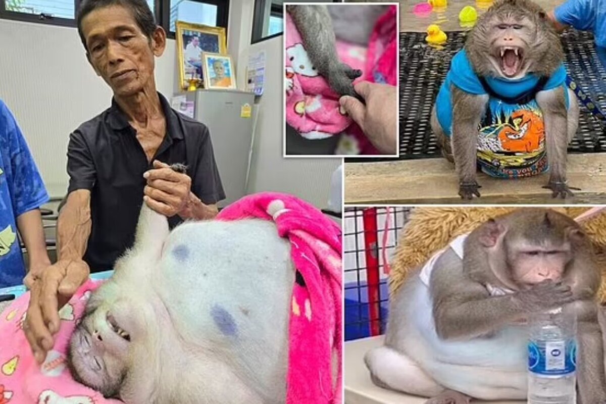 عکس| گودزیلای تایلندی بر اثر چاقی مرد