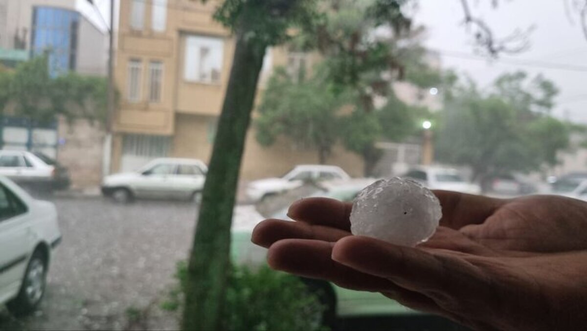 عکس| تصویر جان‌باختن پرندگان بر اثر تگرگ مشهد