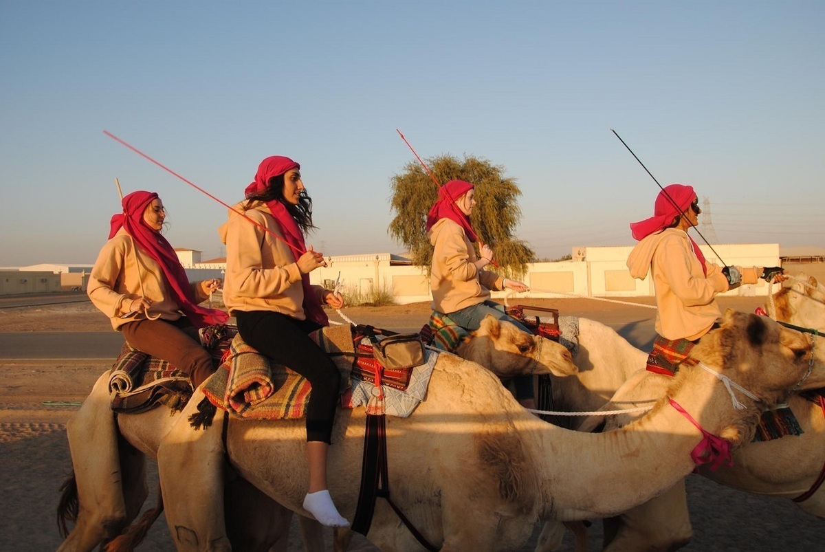 مسابقه عجیب شترسواری زنان در عربستان؛ سقوط برخی سوارکاران زن از روی شتر و مصدومیت آنها + ویدئو