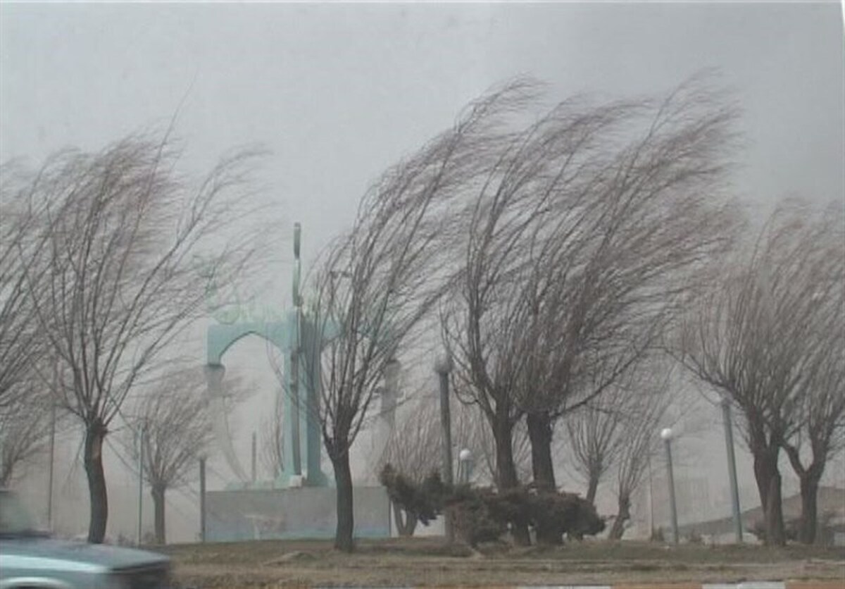 عکس | سقوط درخت روی سقف پراید در پی وزش باد در ایلام