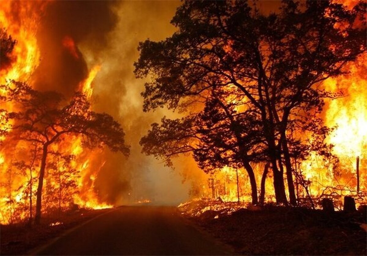 ویدئو| آتش به جان جنگل‌های لس‌آنجلس افتاد