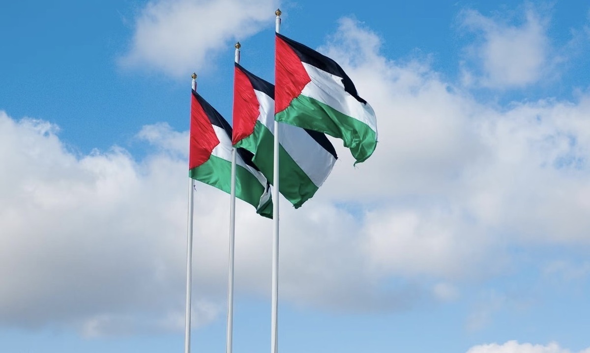 ویدئو | لحظه تکان‌دهنده برق‌گرفتگی مرد جوان حین برافراشتن پرچم فلسطین
