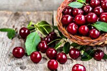 این میوه خوشرنگ و جذاب تابستانی را دریابید! | خواص گیلاس از کاهش التهاب تا پیشگیری از سرطان