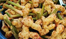 خولنجان چیست؟ بررسی خواص و عوارض + مقدار مصرف