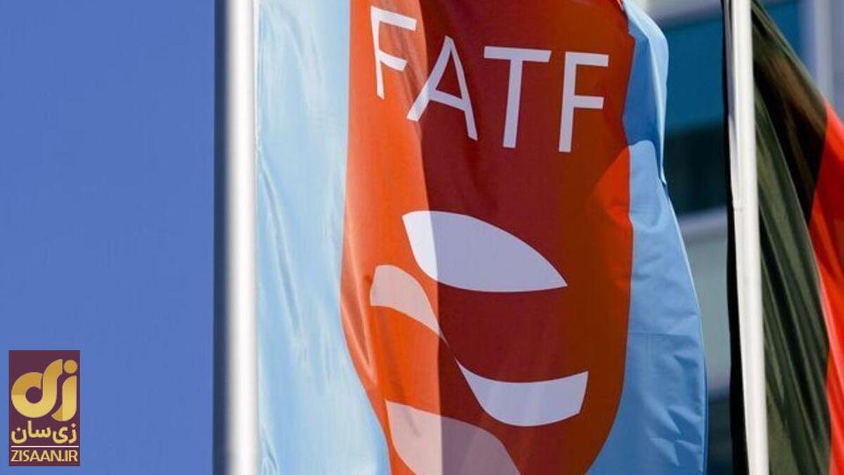 مصباحی مقدم: پزشکیان دفاع می‌کند، FATF تصویب می‌شود