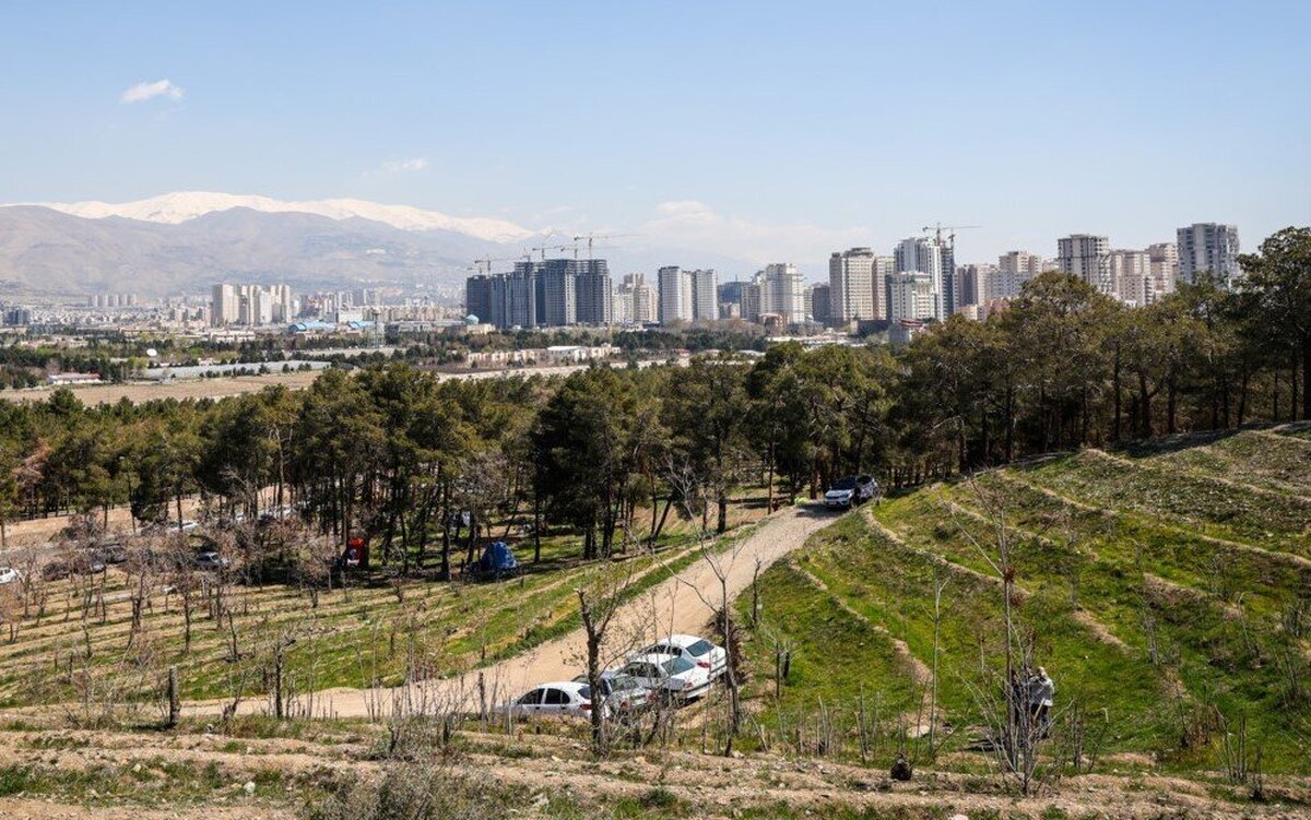 معمای کشف جسدی در پارک چیتگر