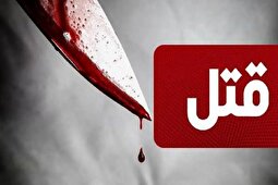 یک نوجوان ۱۵ ساله یک فرد ۲۲ ساله را کشت و بازداشت شد