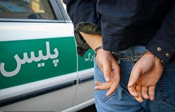 زورگیری دردناک از دختر دانشجو در مسیر خوابگاه