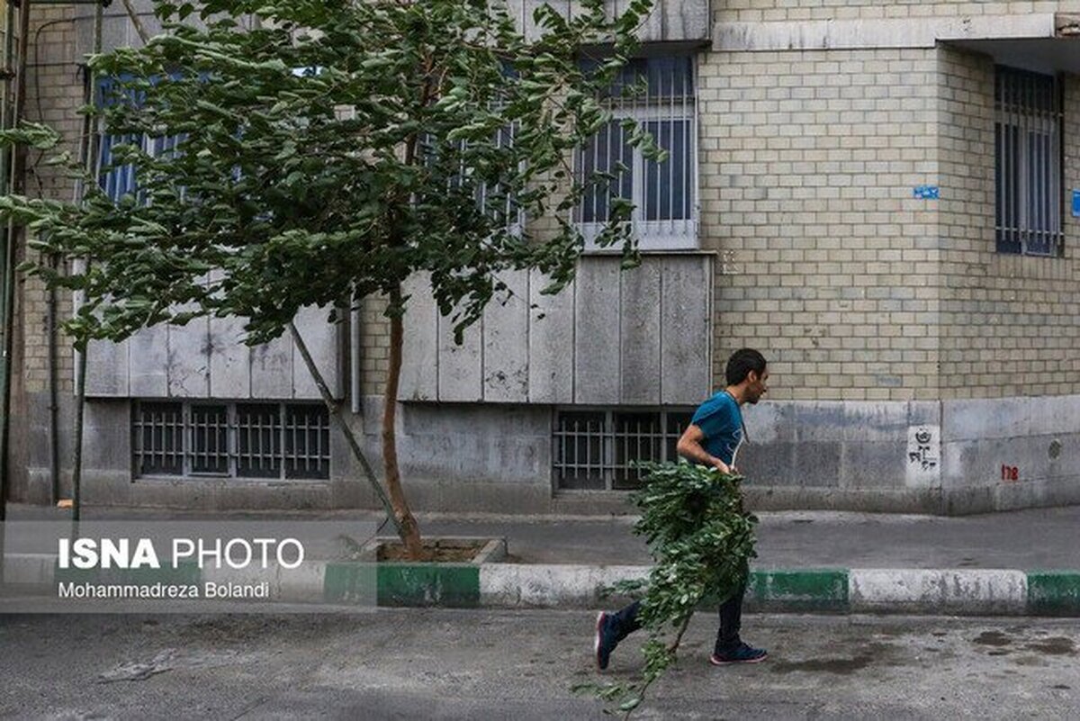 هشدار هواشناسی درباره وزش باد شدید در تهران