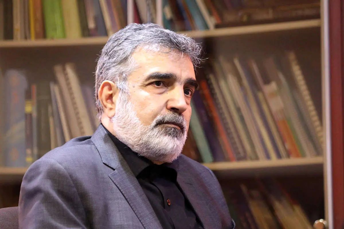 سخنگو سازمان انرژی اتمی از خرابکاری هستهای در ورامین پرده برداشت