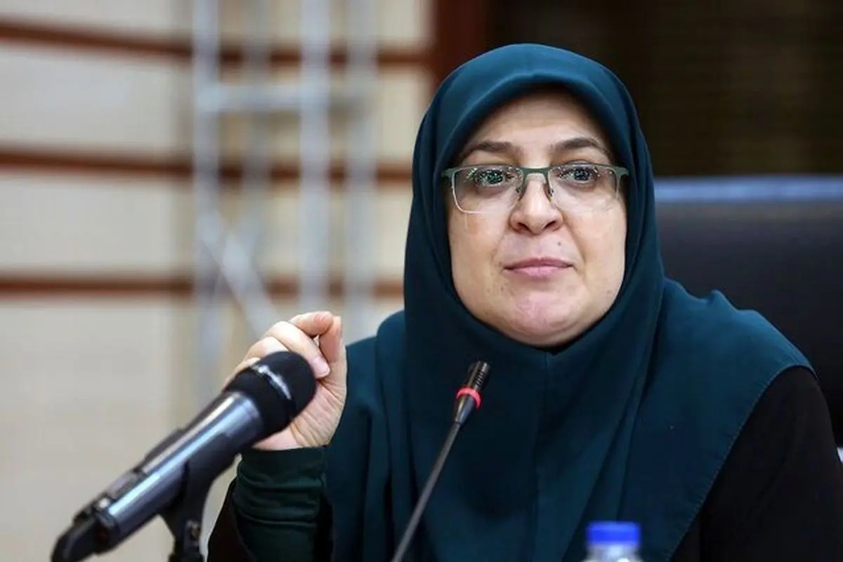 مهاجرانی: براساس منافع ملی درباره مذاکرات تصمیم می‌گیریم