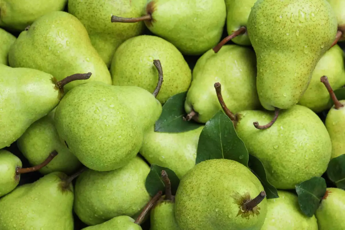 خواص فوق العاده این میوه تابستانی برای لاغری و پیشگیری از سرطان